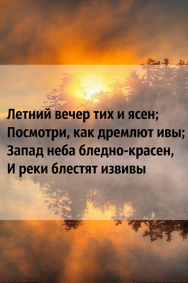 5. Назовите автора стиха: