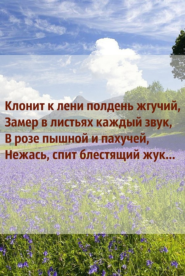 4. Кто писал...