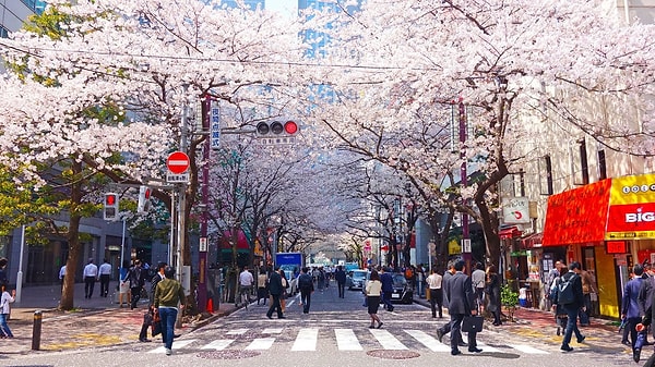 4. Японцы живут дольше всех