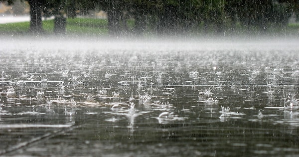5. Какие чувства одолевают вас в дождливый день?