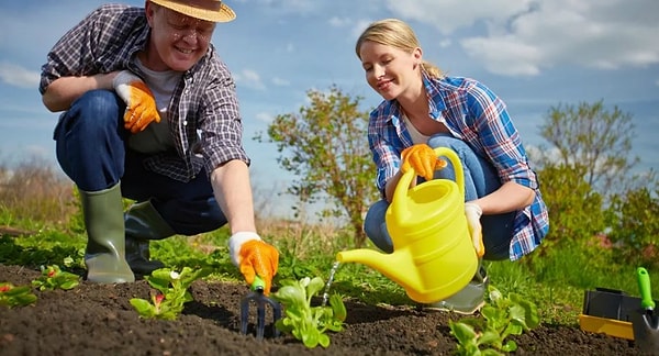 7. Что вы думаете, глядя на этот снимок?