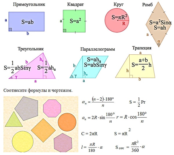 5. Площадь чего невозможно рассчитать?