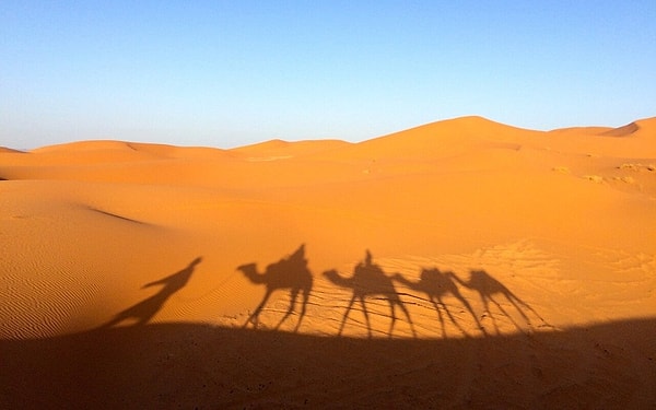 9. Сахара НЕ расположена в...