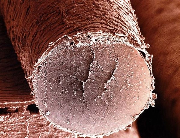 1. Что изображено на фото?