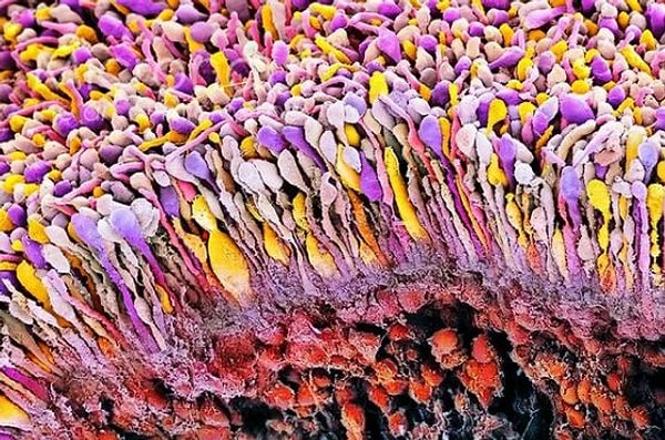 4. Что это за буйство красок?