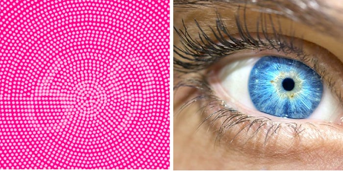 Тест: У вас уникальные умственные способности, если сможете с первого раза найти цифры на этой оптической иллюзии