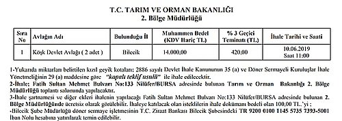 Vurmak İçin İhale Açmışlardı: Mahkeme Geyiklerin Hayatını Kurtardı