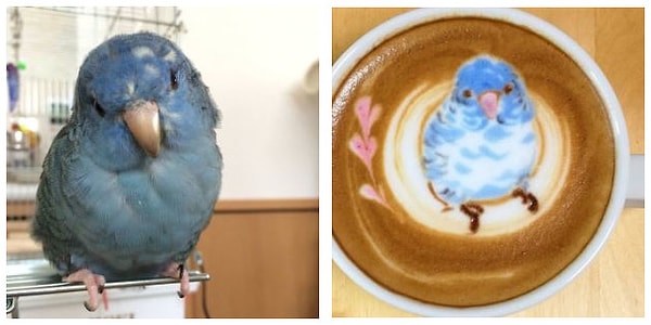 Ку-сан рассказывает, что постоянно совершенствует технику создания рисунков, чтобы добиться большей детализации.