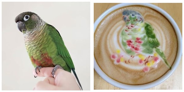 А над теми, которые сочетают в себе много оттенков и подвижный нрав, приходится потрудиться.