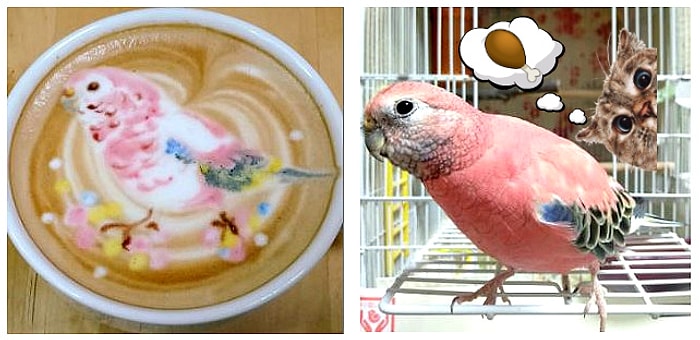 Чашечка кофе из рук японского художника украсит самый пасмурный день