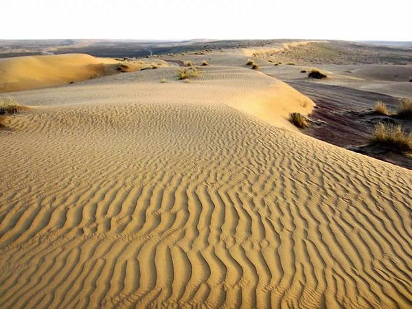 6. Пустыня Алтар находится в ...