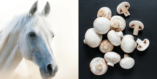 Тест: Достаточно ли вы чисты сердцем, чтобы определить, изображена на картинке еда или лошадь?