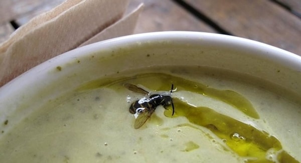 9. В кафе или в ресторане вы обнаружили в тарелке с едой волос или насекомое. Что будете делать?