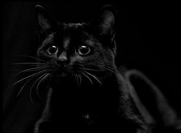 Вы довольно противоречивый человек