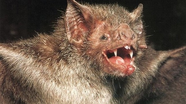 Вы скептик, который не привык доверять людям