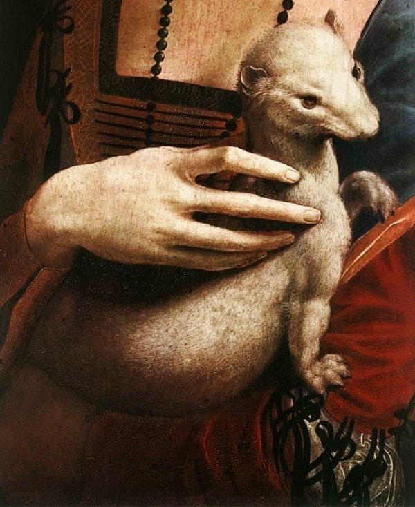 Resimde en önemli detaylardan biri de Cecilia’nın kucağında bulunan kakım ya da diğer adıyla ermindir. Bu dönemlerde kakımlar evcil hayvan olarak besleniyordu.