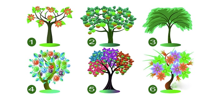 Тест: Выберите дерево, а мы расскажем о самом большом вашем достоинстве