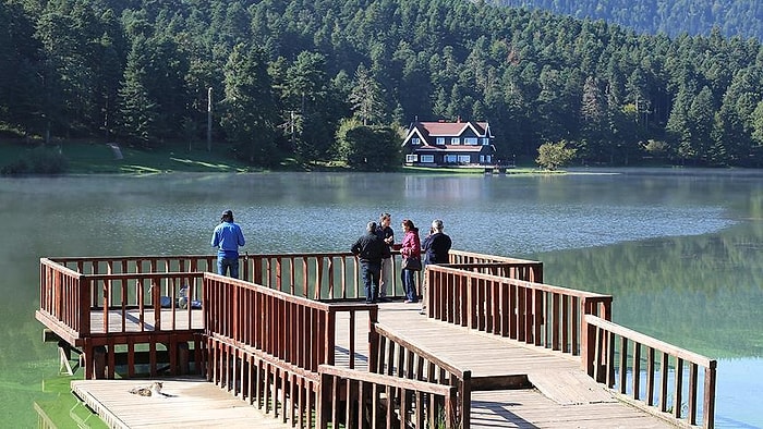 Kazanan Doğa Oldu! Mahkeme Gölcük Tabiat Parkı'na Bungalov Projesini İptal Etti