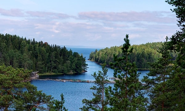 8. В каком озере берет свое начало река Нева?