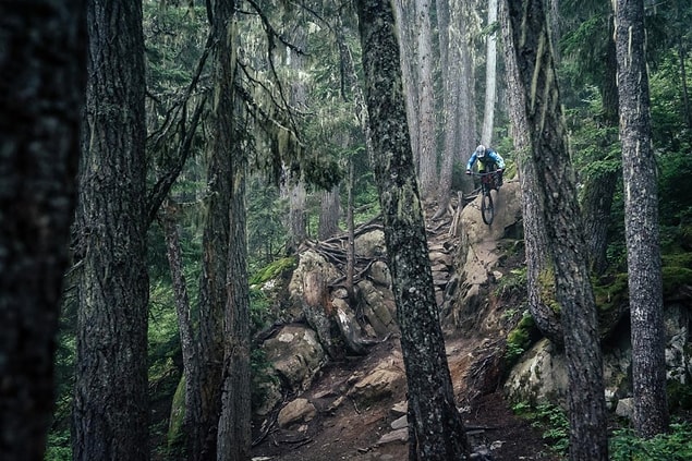 Fotoğrafçı Dave Trumpore, bu fotoğrafı Whistler, Kanada'da çekmiş.