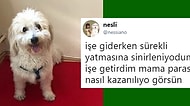 Sizlere İkinci Bayram Tatilini Yaşatacak Kalitede Son Dönemin En Çok Güldüren 15 Olayı