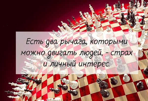 5. Гениальные слова. Кому они принадлежат?