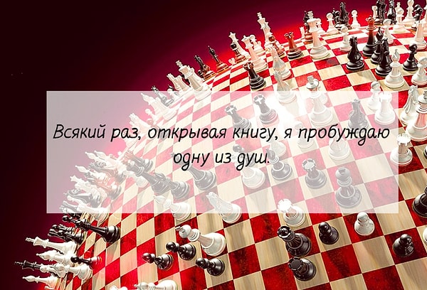 11. Что скажете?