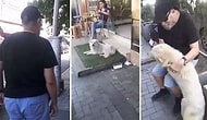 Zonguldak'ta Baktıkları Leo İsimli Köpeği Kaybolduktan Bir Süre Sonra Bartın'da Bulan Ailenin Muhteşem Görüntüleri