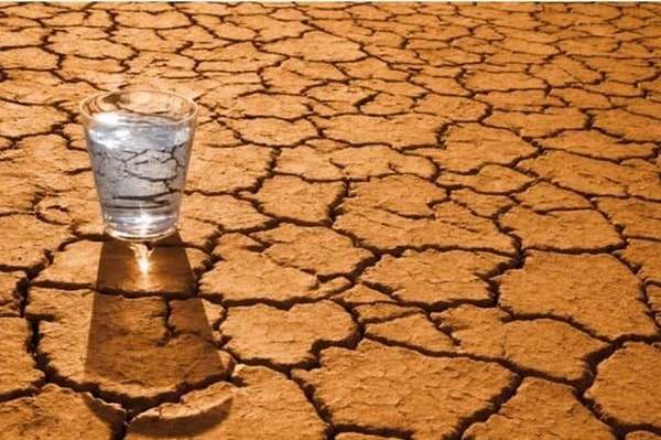 2. При какой болезни человек погибает от обезвоживания?