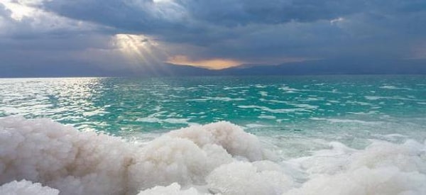 7. В Мертвом море не обитают живые организмы.