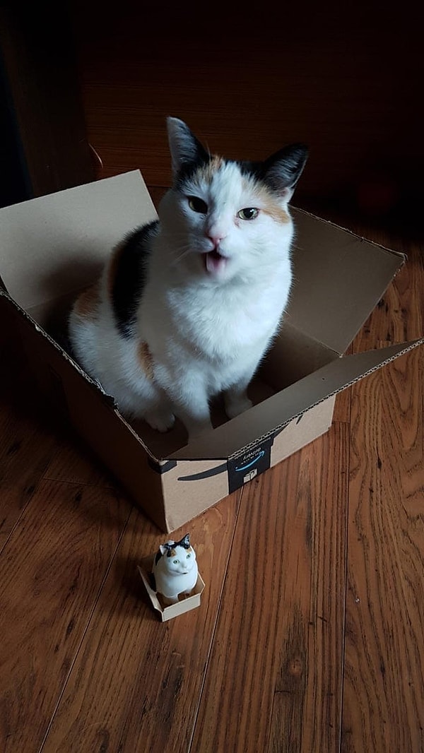 4. 3D- версия кота