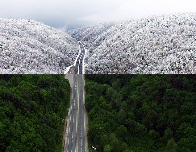 Düzce-Zonguldak arasındaki Batı Karadeniz yolu ve ormanlar