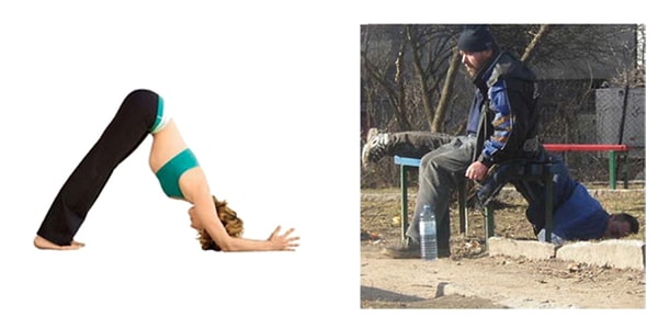 7. Поза дельфина растягивает плечи и одновременно укрепляет мышцы кора и ног.