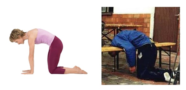 10. И напоследок, марджариасана или поза кошки сделает ваш позвоночник крепким и гибким. Кроме того, это упражнение благотворно влияет на органы пищеварения.