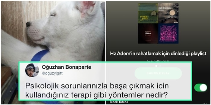 "Psikolojik Sorunlarınızla Başa Çıkmak İçin Kullandığınız Terapi Gibi Yöntemler Neler?" Sorusuna Gelen Travma Soslu 15 Cevap