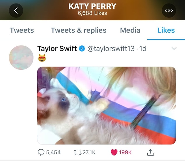 Ortalık oldukça sessizdi... Ta ki iki hafta öncesine kadar. Katy, Taylor'ın yeni kedisi Benjamin Button'ın fotoğrafını beğendi.