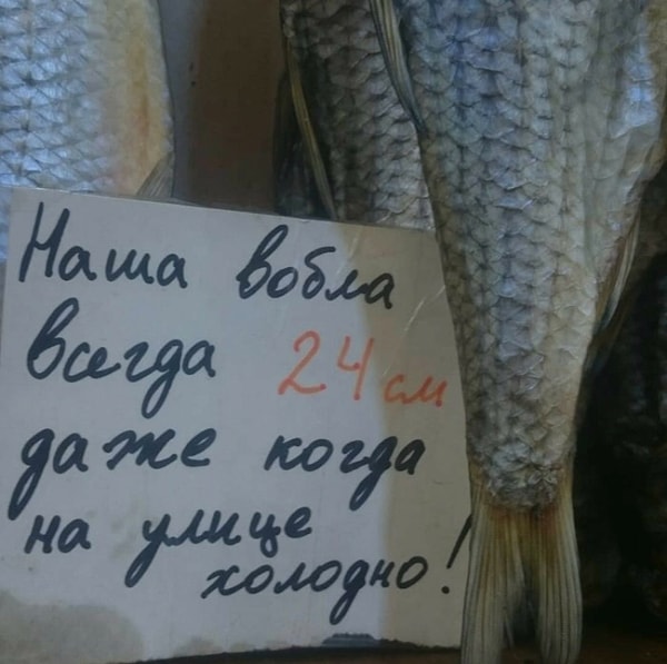 17. Вот это вобла