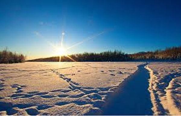 10. Назовите самый северный населенный пункт в мире