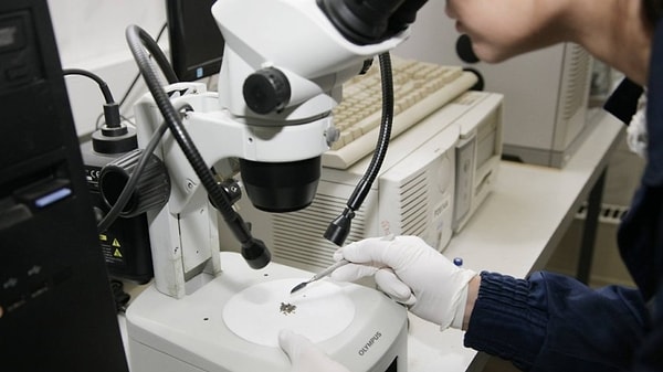 3. Кто из них ввёл бинарную номенклатуру для определения биологических видов?