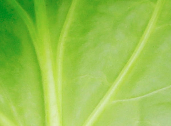 14. Интересно, что это за продукт?