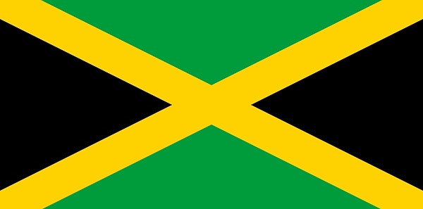 Посмотреть ответ: