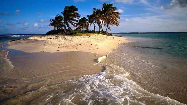 2. Какой самый лёгкий способ поймать рыбу на необитаемом острове?