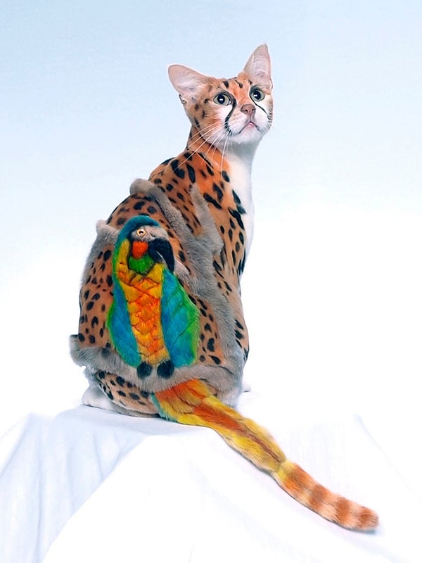 4. В образе дикой кошки O_o