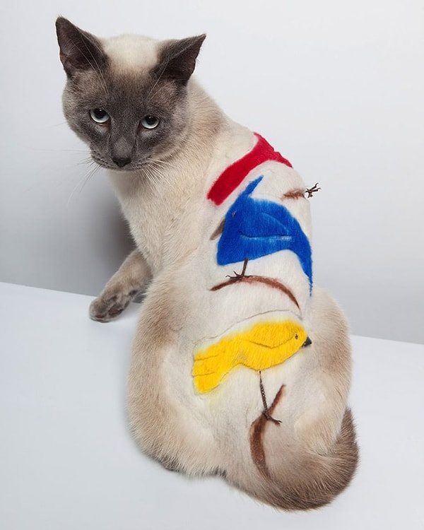 6. Видит око, да зуб неймёт.