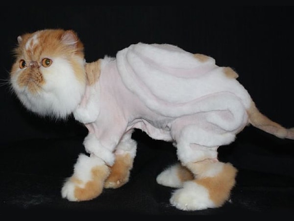 14. "Я же просил просто под ноль".