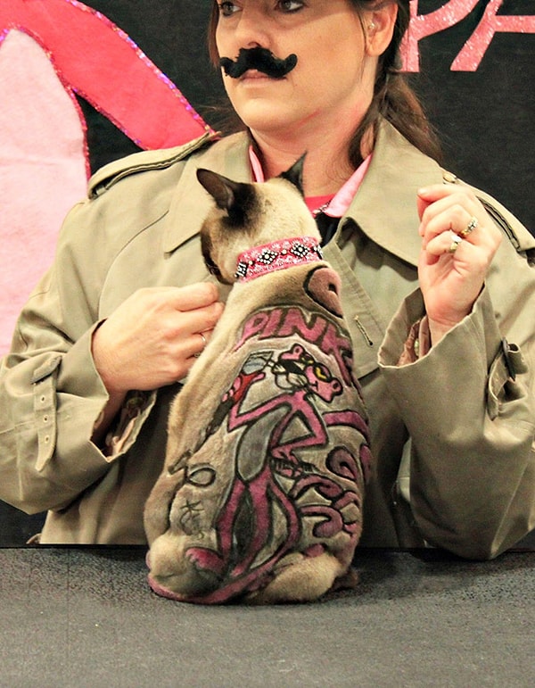 17. "Моя хозяйка совсем ку-ку".