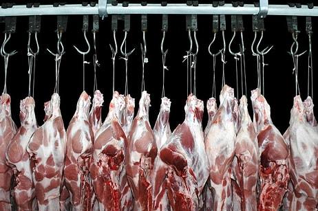 Üretim Azalıyor: Türkiye'nin Kırmızı Et İthalatı 2018 Yılında Yüzde 233 Arttı