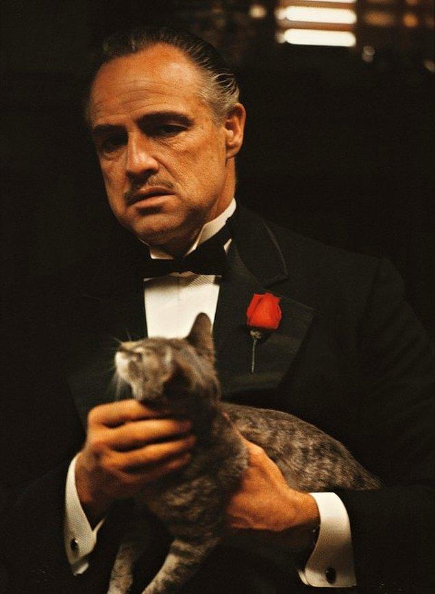 5. The Godfather'daki meşhur kediyi hatırlarsınız. Aslında o kedi senaryoda yokmuş, çekim yerinde bulunan kediyi sonradan eklemişler.  Kedi sürekli miyavladığı için de Marlon Brandon'ın diyaloglarına dublaj yapılmış.