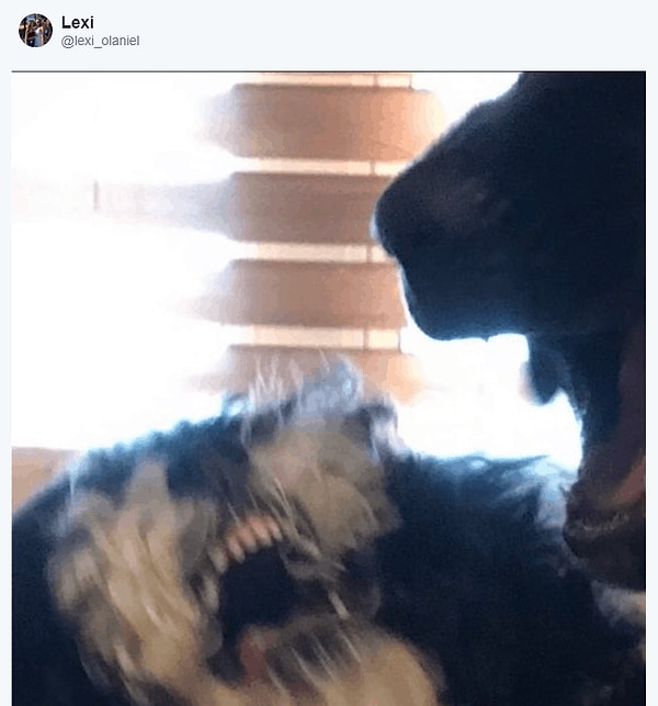 2. А дальше понеслось...