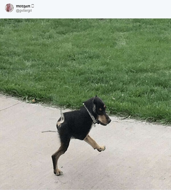 3. Ок, здесь виновата панорамная съемка